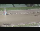 第22回ジャパンダートダービー ダノンファラオ