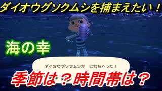 あつまれどうぶつの森　ダイオウグソクムシが捕れる条件とは！？季節は？時間帯は？　【あつ森】