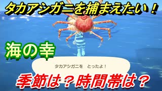 あつまれどうぶつの森　タカアシガニが捕れる条件とは！？季節は？時間帯は？　【あつ森】