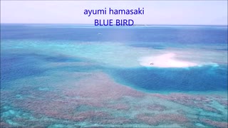 【ニコカラ】BLUE BIRD　《off vocal》