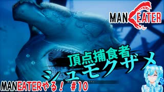 【実況】MANEATERやる！【10】