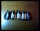 黒折り紙で千羽鶴を作っていく　10日目