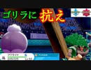 軽業アッキのみ「フワライド」でゴリランダーから力を吸い取れ！　～1日20分！「スキマ」ポケモン学習　#65～ 【ポケモン剣盾】