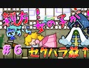 【実況】紙の勇者が世界を救う。#6【スーパーペーパーマリオ】