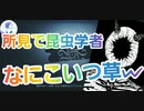 【第五人格】Q戦慄の竜巻 新サバイバー！昆虫学者使ってみたw【白黒無常】【イライ】【IdentityV】【第5人格】【dbd】【さとみくん推し】