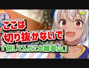 「何してんだこの雑草山」とコメントされたプレミをアッキーナに見られる葉山・シャドバ環境対応？ルーゼン採用型自傷バンプ