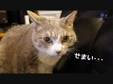 【モアクリ】 三密なソファ