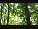 佐藤宣義