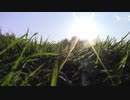 村島弘之