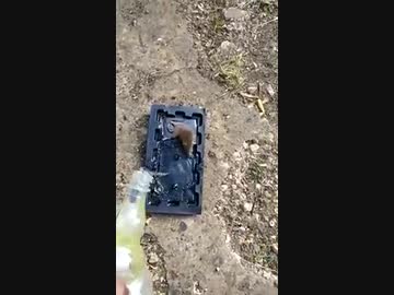 ホモと学ぶネズミトラップ.burning