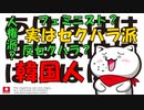 人権派・フェミ・反セクハラ…実はセクハラ派な韓国人