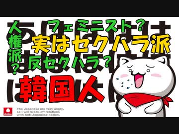 人権派・フェミ・反セクハラ…実はセクハラ派な韓国人
