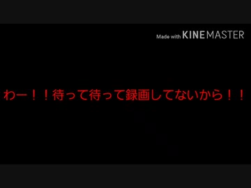 【第五人格】やらかしていくぅ(´^ω^`;)