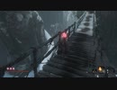 ノンスタイリッシュなSEKIRO初見プレイpart29