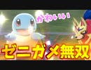 【実況】ポケモン剣盾 でたわむれる ゼニガメが謎の無双をする動画