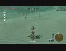 70歳がプレイするゼルダの伝説BotW （パート６６：スナザラシラリー）