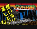 【実況】思い切り楽しむ！【ペーパーマリオRPG】Part12