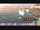 【あつ森】前人未島へようこそ！#106【あつまれどうぶつの森】