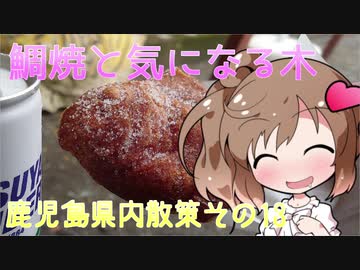【CeVIO】鹿児島県内散策 その１３ 揚げ鯛焼とこがの社