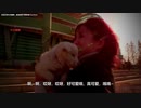 ホモと見る北朝鮮の日常 EP.7 平壌の豊山犬がかわいすぎる件