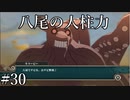 「キラービー参上、上等」【ナルティメットストーム2 実況】part30
