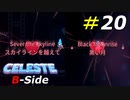 ハートを求めてB面制覇を目指す[Celeste]#20