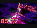 【シールド】二人三脚で行くポケモン剣盾実況プレイ【85】