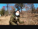 ホモと見る北朝鮮の日常 EP.20 平壌で植樹してみた