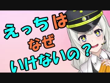 えっちなのはいけないと思いますわ！（性表現規制）