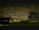 【FF14】初心者ヒーラーが征く初見コンテンツ攻略実況 Part.6【オーラムヴェイル】