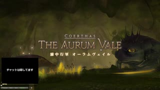 【FF14】初心者ヒーラーが征く初見コンテンツ攻略実況 Part.6【オーラムヴェイル】