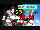 【グラブルVS】格ゲー初心者が“Ｓランク”に到達した件についてwwwww　その１０