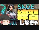 唯一のヒールキャラ！セージ使ってランクマ～ゆっくりVALORANT成長記！13日目～【ゆっくり実況】【ヴァロラント】