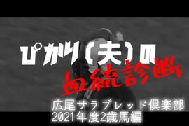 【血統診断】広尾サラブレッド倶楽部 2021年度2歳馬編