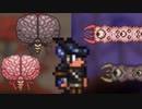 Terraria(淫夢).mp6