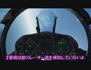『実機風味』空対空戦闘【DCS World】