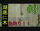 洞窟の中で狂気の謎解き大会なのが面白い！！#3《Cube Escapeシリーズ第三弾 The Cave実況》