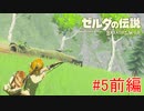 【ゼルダの伝説ブレスオブザワイルド＃5】始まりの台地寄り道珍道中ぱーといち前編【はるの積みゲー崩し】