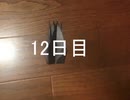 黒折り紙で千羽鶴を作っていく　12日目