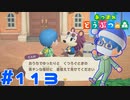 【実況】これ以上ないくらいリラックスできる服にしてみた #113【あつまれどうぶつの森】