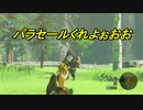 ゼルダの伝説　ハダカオブザワイルド　part2