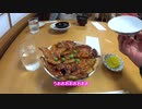 【結月ゆかり車載】テネレ・ツーリングレポート【2016北海道編】vol_7