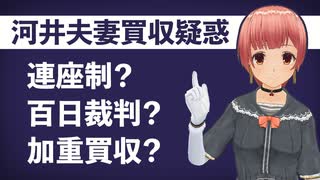 連座制、百日裁判、加重買収！？特殊用語が分かる動画【河井夫妻 買収疑惑】