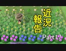 【あつまれどうぶつの森】無人島でマイペースライフ Part17