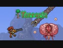 【Terraria】マスターモードでLife100縛り　Part3【ゆっくり実況】
