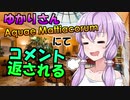 【湯けむり解説】結月ゆかりの洋書解説 Part7.5【コメント返し回】