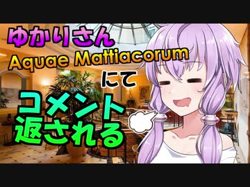 【湯けむり解説】結月ゆかりの洋書解説 Part7.5【コメント返し回】