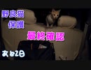 最後の乗車、その後おっぱい【野良猫の保護まであと2日】姉の母乳を飲む野良猫