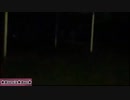 【お知らせ】夜配信はツイキャスに移行します【糞アップデート】
