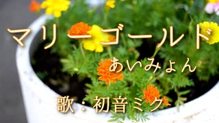 【初音ミク】マリーゴールド/あいみょん【カバー】